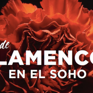 ciclo-flamenco-teatro-soho-malaga-2021